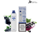 RipeVape Palm Plus 4000 Puffs Disposable Vape - Ocean Current